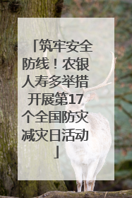 筑牢安全防线！农银人寿多举措开展第17个全国防灾减灾日活动