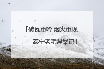 砖瓦重吟 烟火重现——泰宁老宅涅槃记
