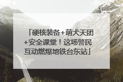 硬核装备+萌犬天团+安全课堂！这场警民互动燃爆地铁台东站