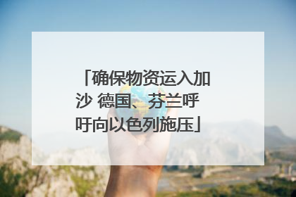确保物资运入加沙 德国、芬兰呼吁向以色列施压