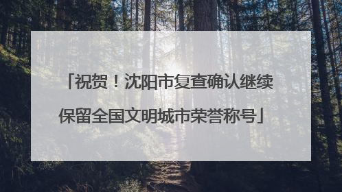 祝贺！沈阳市复查确认继续保留全国文明城市荣誉称号