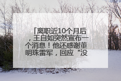 离职近10个月后，王自如突然宣布一个消息！他还感谢董明珠雷军，回应“没看过格力工资条”：真的不那么重要！