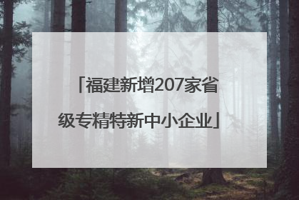 福建新增207家省级专精特新中小企业