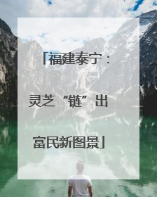 福建泰宁：灵芝“链”出富民新图景