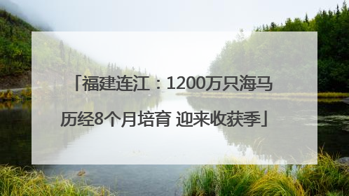 福建连江：1200万只海马历经8个月培育 迎来收获季