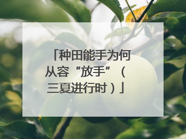 种田能手为何从容“放手”（三夏进行时）