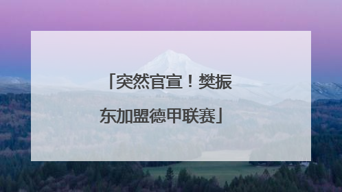 突然官宣！樊振东加盟德甲联赛