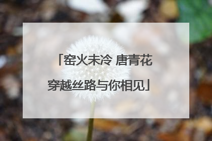 窑火未冷 唐青花穿越丝路与你相见