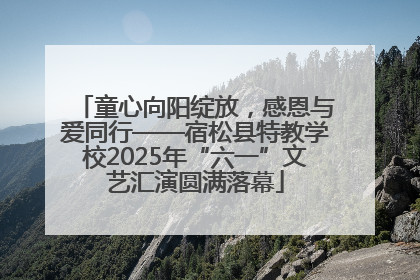 童心向阳绽放，感恩与爱同行——宿松县特教学校2025年“六一”文艺汇演圆满落幕