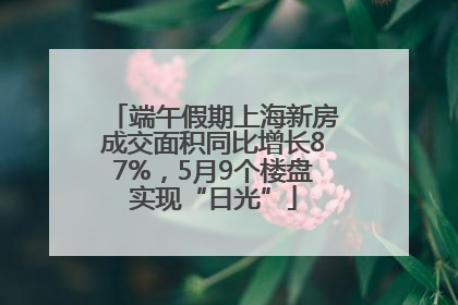 端午假期上海新房成交面积同比增长87%，5月9个楼盘实现“日光”