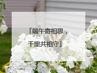 端午寄相思，千里共相守