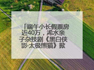 端午小长假票房近40万，浠水亲子杂技剧《黑白侠影·太极熊猫》掀起观演热潮