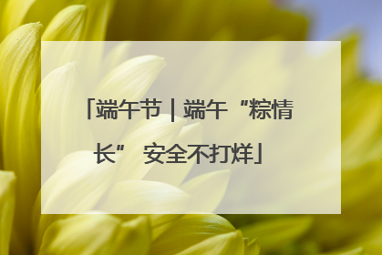 端午节｜端午“粽情长” 安全不打烊