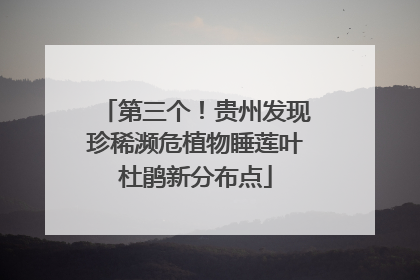 第三个！贵州发现珍稀濒危植物睡莲叶杜鹃新分布点