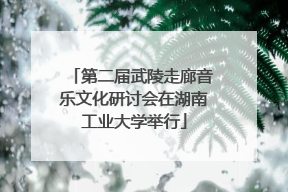 第二届武陵走廊音乐文化研讨会在湖南工业大学举行