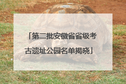 第二批安徽省省级考古遗址公园名单揭晓