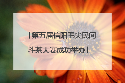 第五届信阳毛尖民间斗茶大赛成功举办