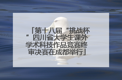 第十八届“挑战杯”四川省大学生课外学术科技作品竞赛终审决赛在成都举行