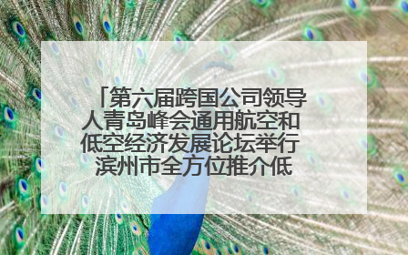 第六届跨国公司领导人青岛峰会通用航空和低空经济发展论坛举行 滨州市全方位推介低空经济发展优势