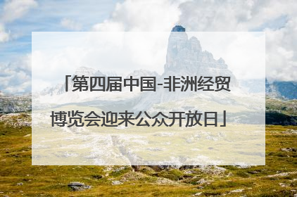 第四届中国-非洲经贸博览会迎来公众开放日