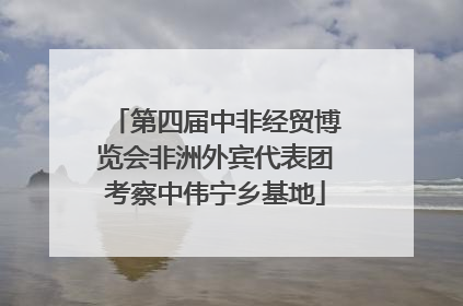 第四届中非经贸博览会非洲外宾代表团考察中伟宁乡基地