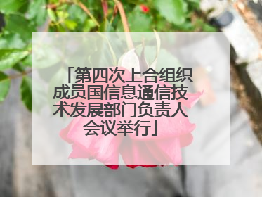 第四次上合组织成员国信息通信技术发展部门负责人会议举行
