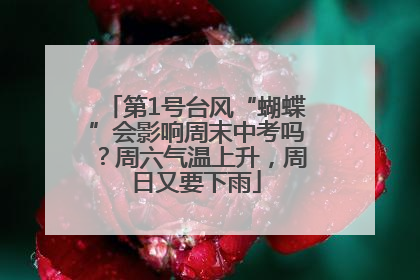 第1号台风“蝴蝶”会影响周末中考吗？周六气温上升，周日又要下雨