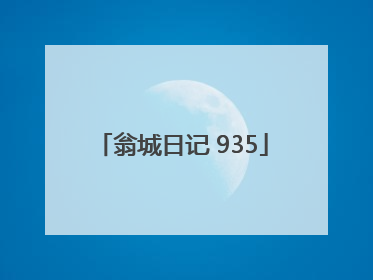 翁城日记 935