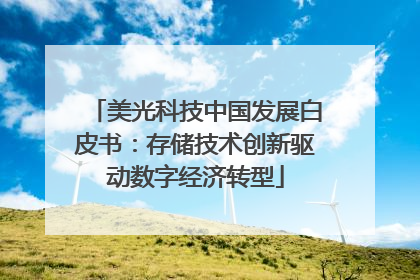 美光科技中国发展白皮书：存储技术创新驱动数字经济转型