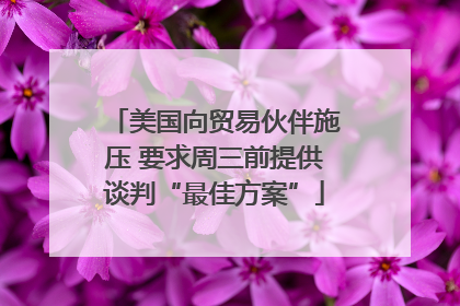 美国向贸易伙伴施压 要求周三前提供谈判“最佳方案”