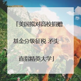 美国拟对高校捐赠基金分级征税 矛头直指精英大学