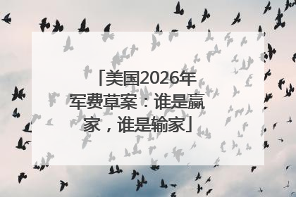 美国2026年军费草案：谁是赢家，谁是输家