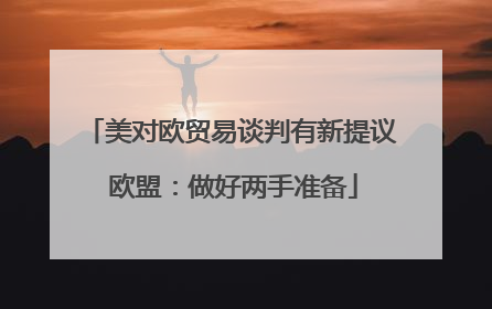 美对欧贸易谈判有新提议 欧盟：做好两手准备