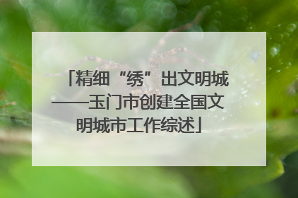 精细“绣”出文明城——玉门市创建全国文明城市工作综述