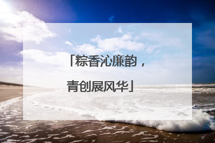 粽香沁廉韵，青创展风华