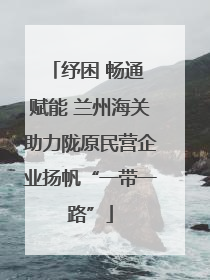 纾困 畅通 赋能 兰州海关助力陇原民营企业扬帆“一带一路”