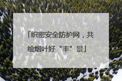 织密安全防护网，共绘烟叶好“丰”景