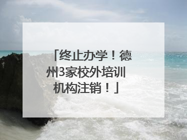 终止办学！德州3家校外培训机构注销！