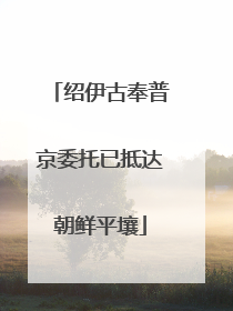 绍伊古奉普京委托已抵达朝鲜平壤