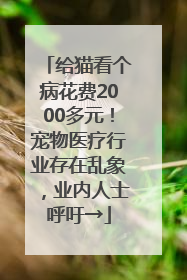 给猫看个病花费2000多元！宠物医疗行业存在乱象，业内人士呼吁→