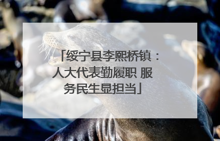 绥宁县李熙桥镇：人大代表勤履职 服务民生显担当