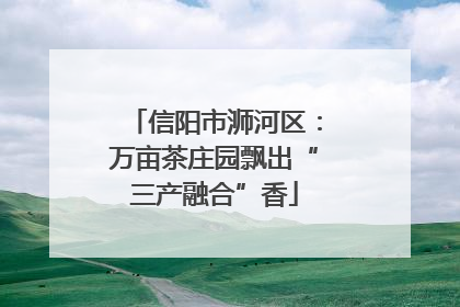 信阳市浉河区：万亩茶庄园飘出“三产融合”香