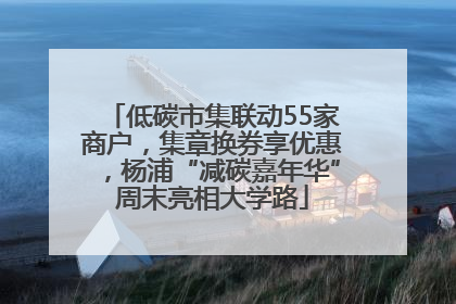 低碳市集联动55家商户，集章换券享优惠，杨浦“减碳嘉年华”周末亮相大学路