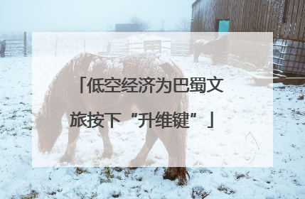 低空经济为巴蜀文旅按下“升维键”