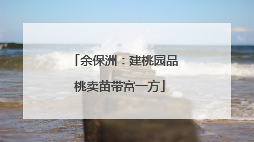 余保洲：建桃园品桃卖苗带富一方