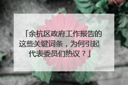 余杭区政府工作报告的这些关键词条，为何引起代表委员们热议？