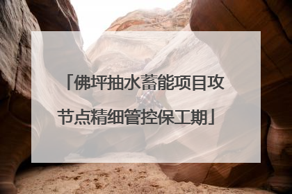 佛坪抽水蓄能项目攻节点精细管控保工期
