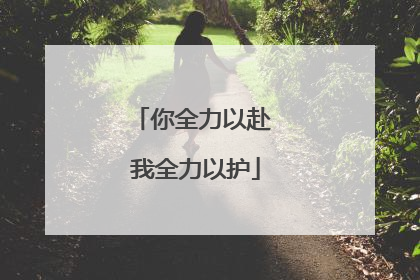 你全力以赴 我全力以护