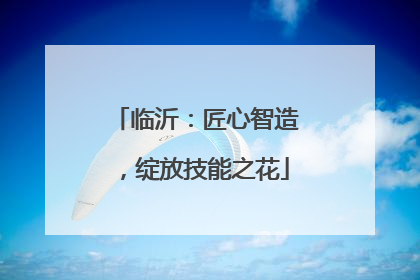 临沂：匠心智造，绽放技能之花