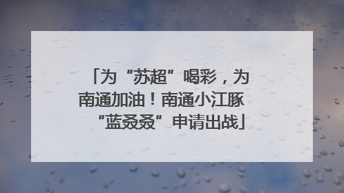 为“苏超”喝彩，为南通加油！南通小江豚“蓝叒叒”申请出战